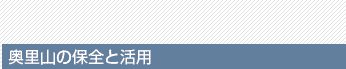 �y�[�W�^�C�g��